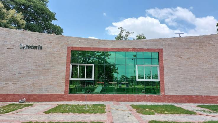 Cafeteria sandis
