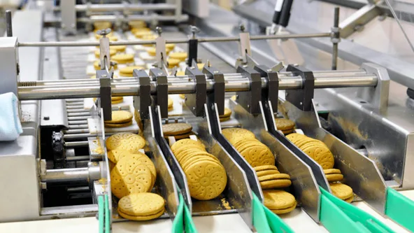 Food Processing Machinery jpg