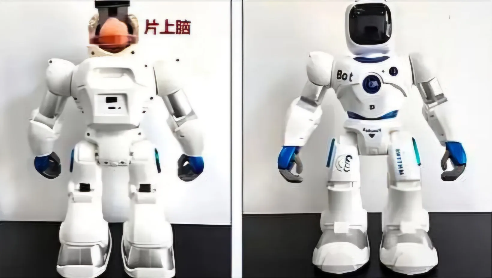 China robot with human brain 1 jpeg