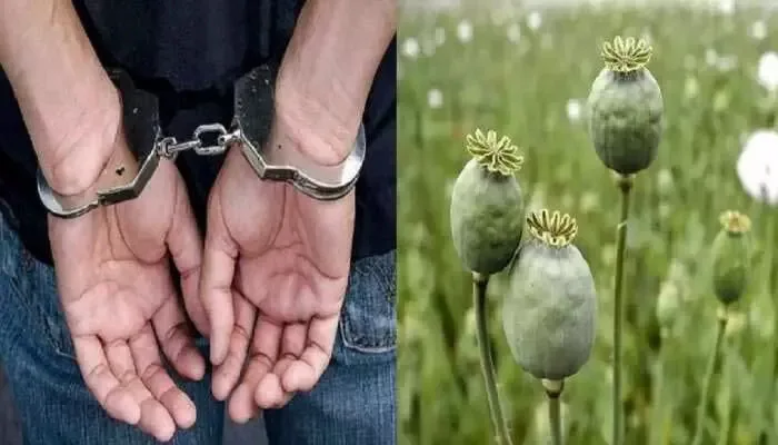 Smuggle jpg