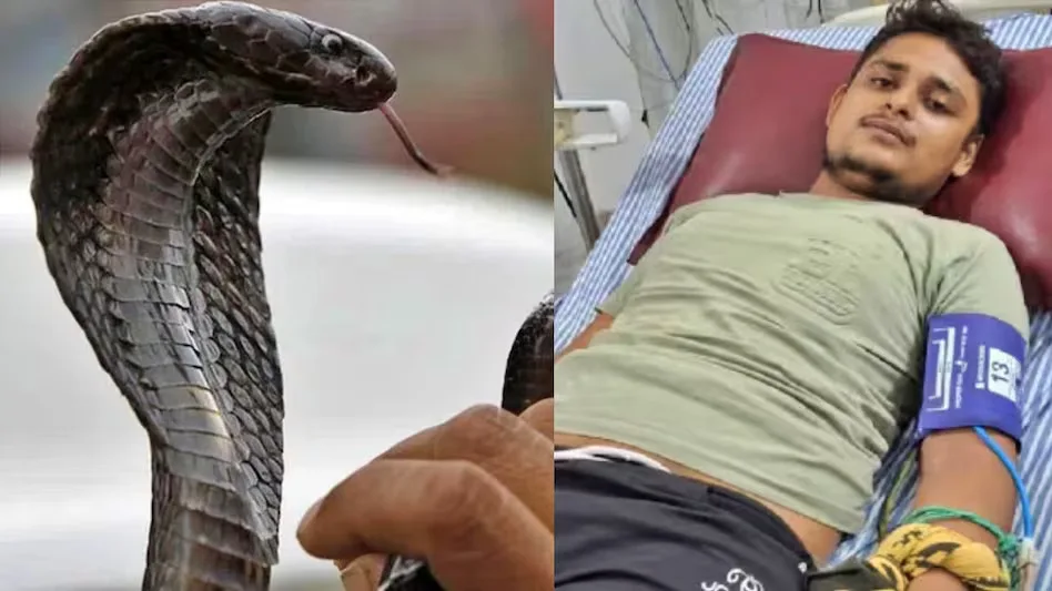 Vikas Dubey Snake Bite jpg
