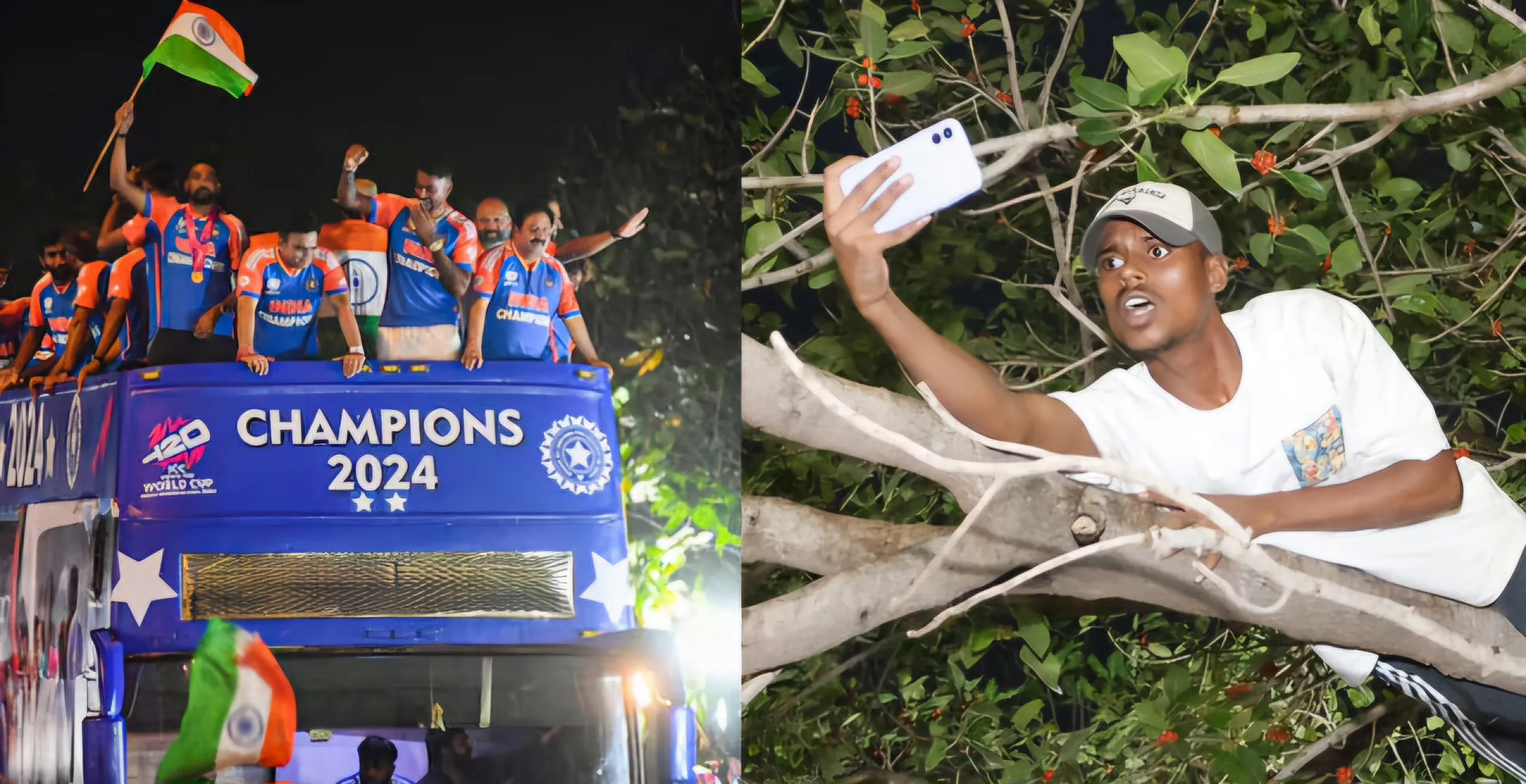 fan climbed a tree jpg