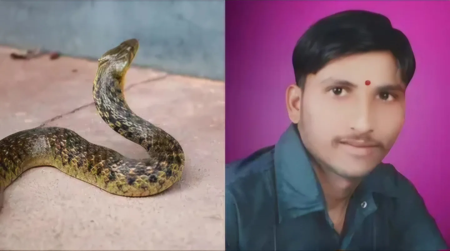 snake birthday jpg
