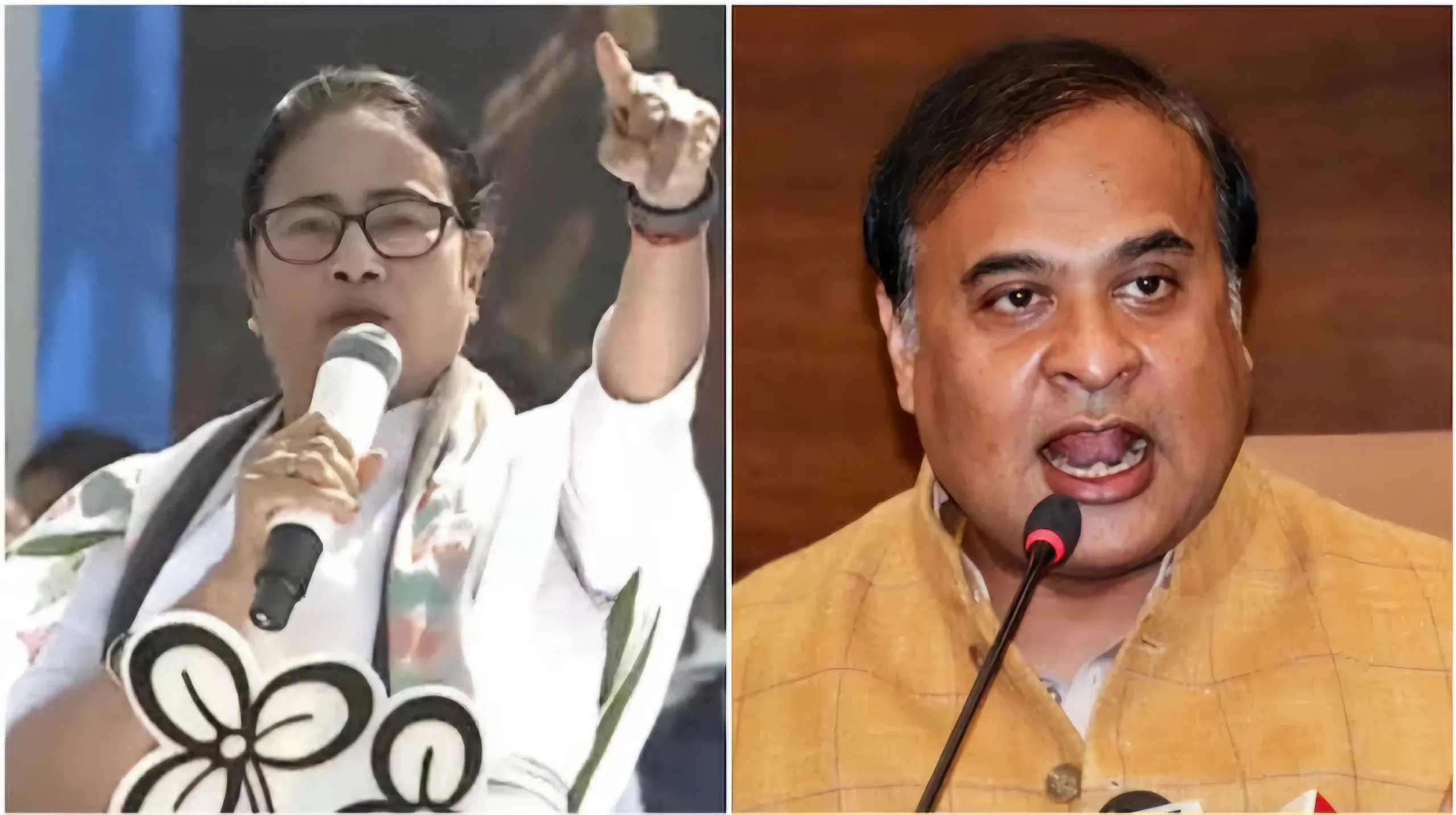 Mamta himanta scaled