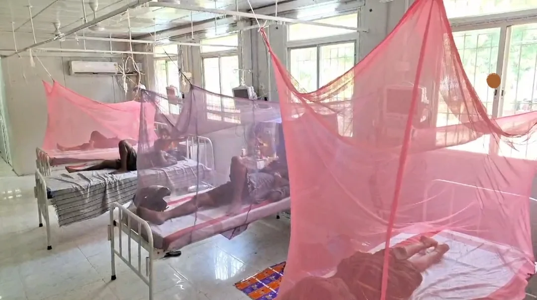 Dengue Mayaganj bgp jpg