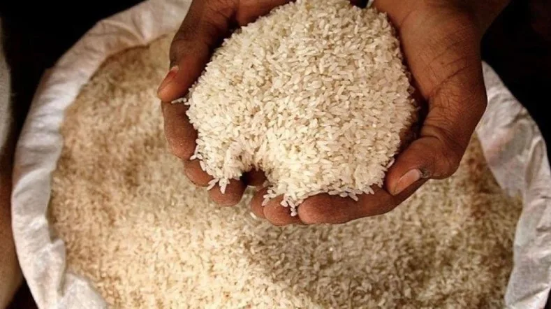 Rice jpg