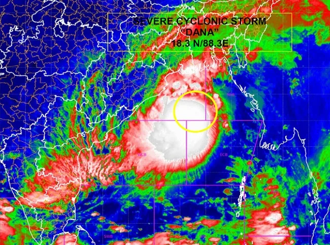 Cyclone Dana jpeg