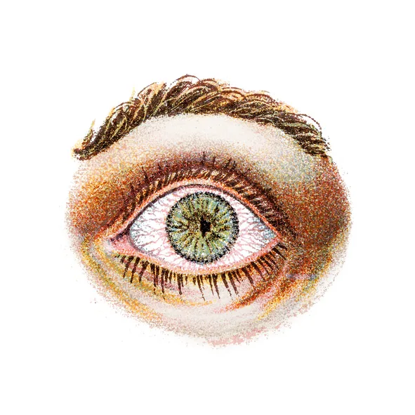 Eyes jpg