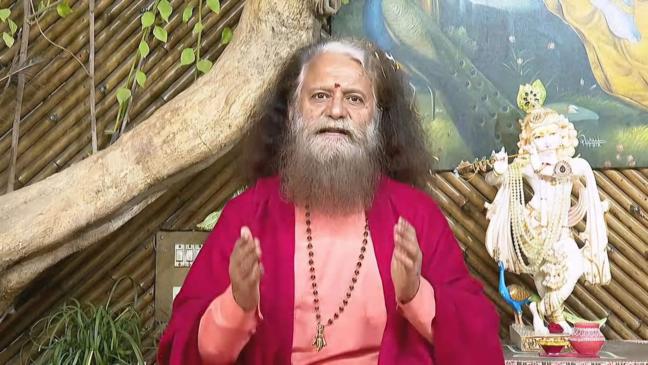 Swami Chidanand Saraswati scaled