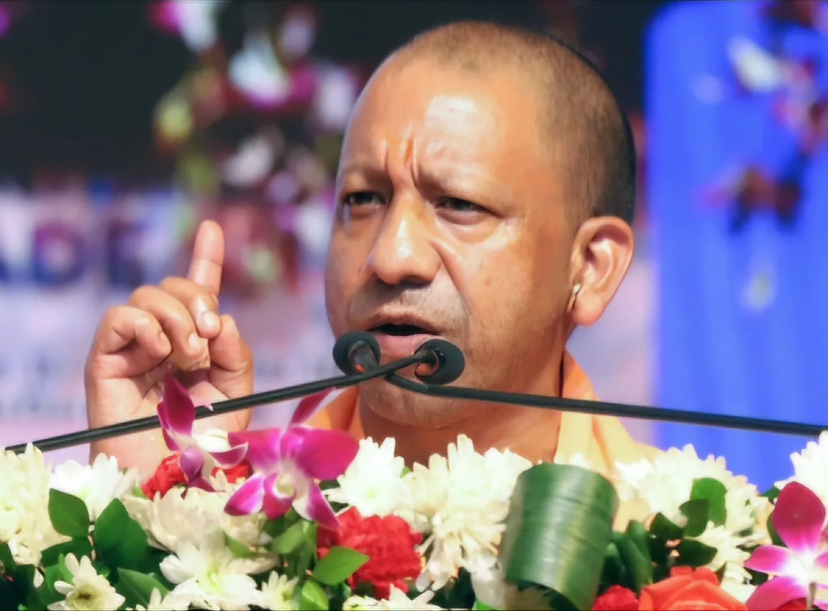 Yogi jpg