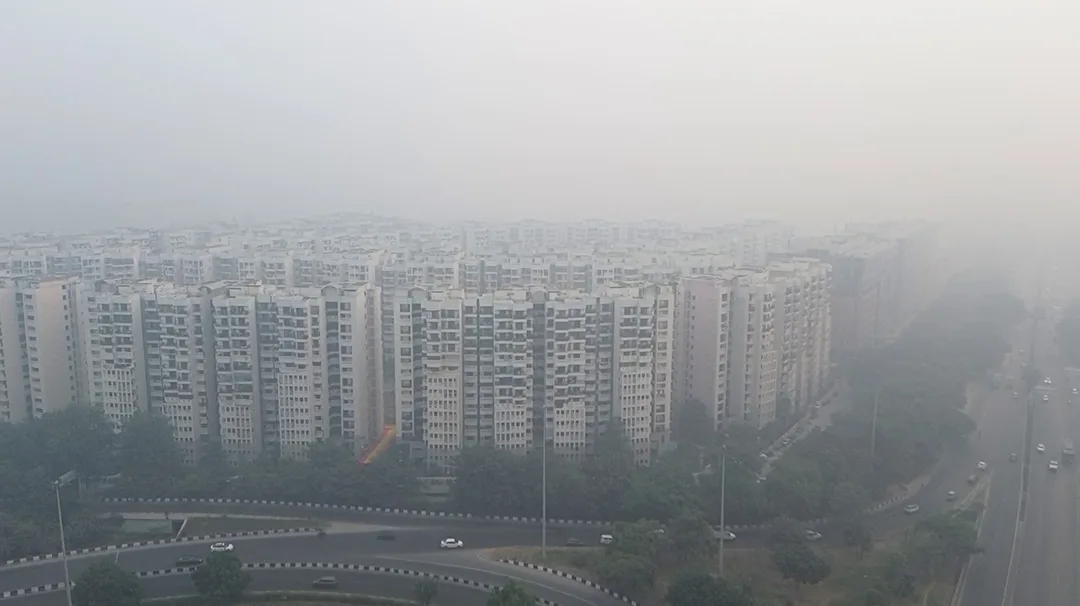 18 5 jpg