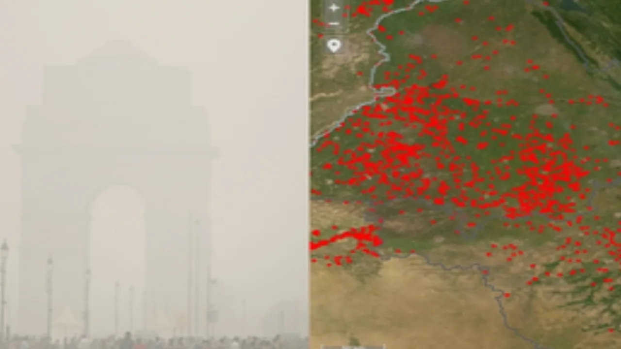 20241113 152317 jpg