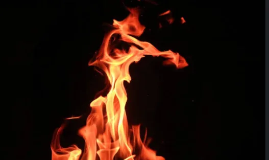 IMG 7110 jpeg