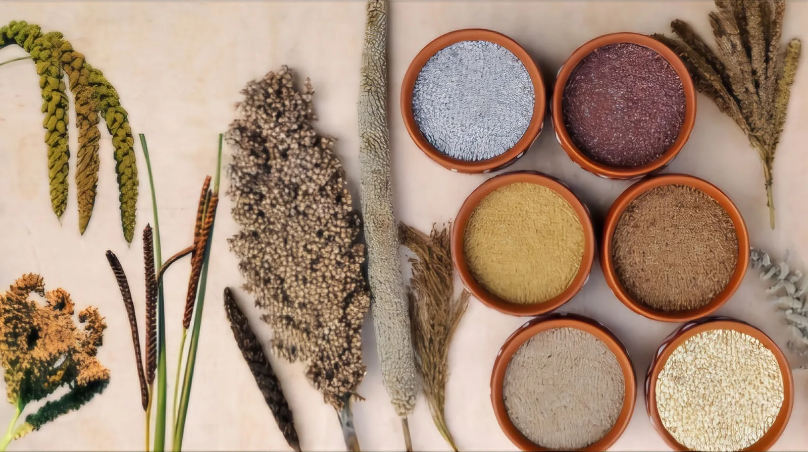 Millets jpg