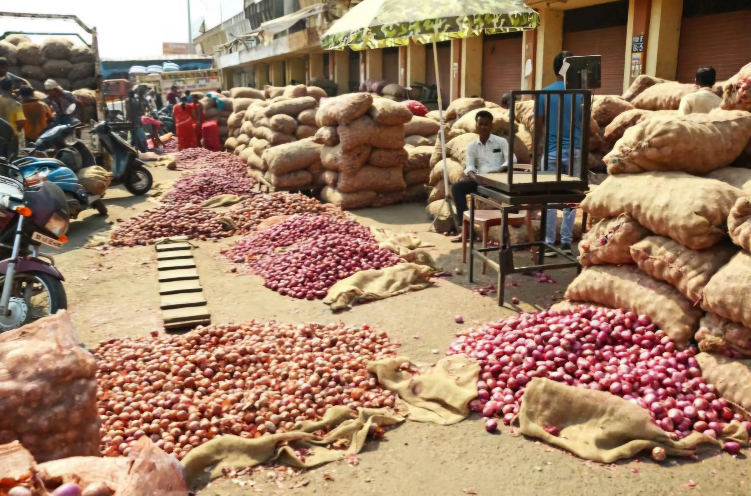 onion exports scaled