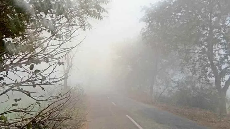 Fog 1