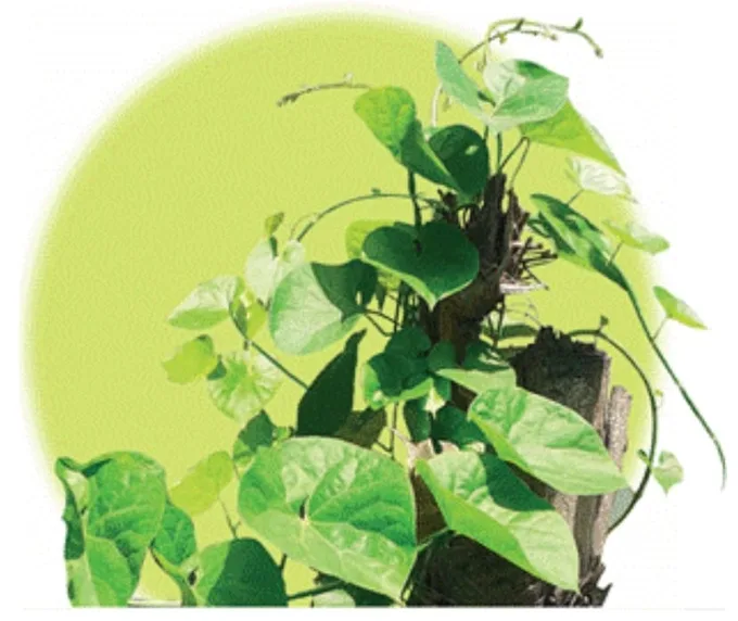 Gk3 5LpaIAAZ1ev png