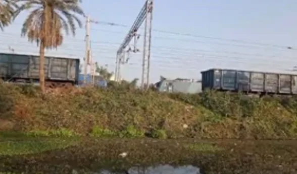 IMG 0889