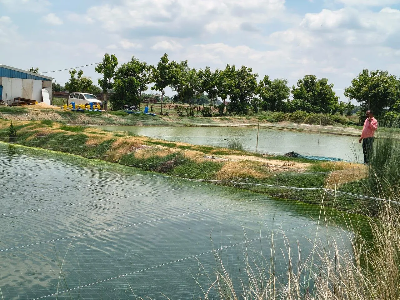 मछली पालकों को सरकार दे रही आर्थिक सहायता, 31 अगस्त तक करें आवेदन