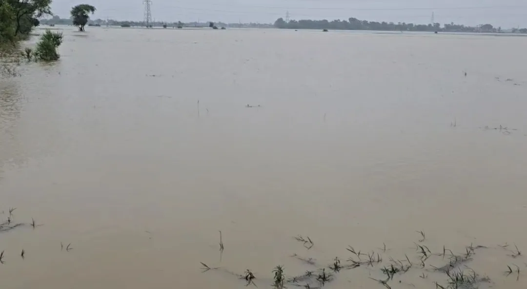 Screenshot 2025 08 06 16 32 34 002 com.whatsapp edit