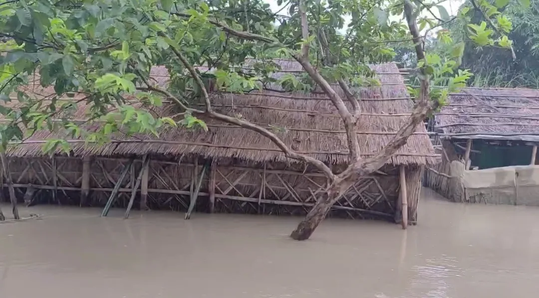 Screenshot 2025 08 14 08 28 22 642 com.whatsapp edit