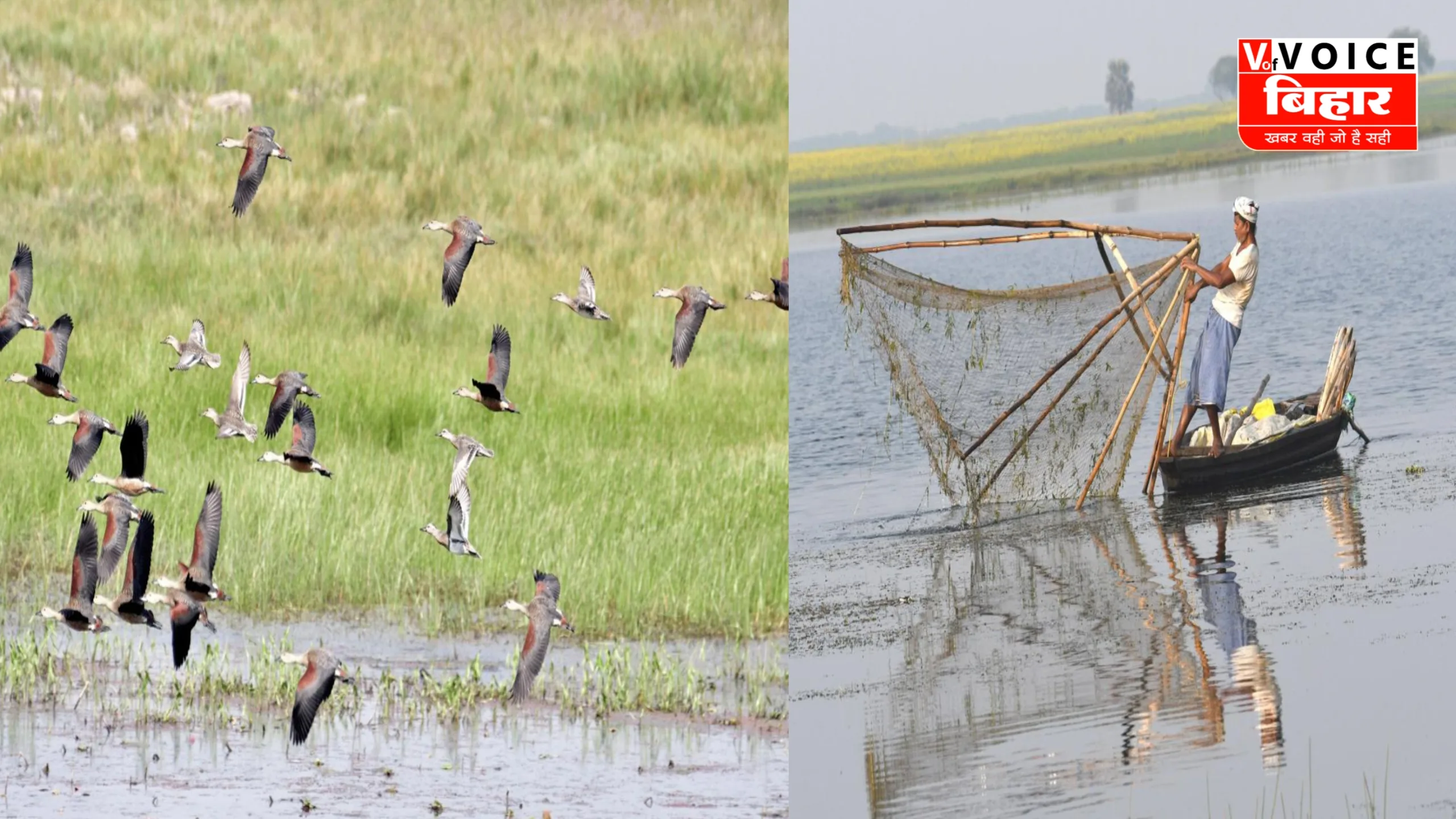 आर्द्रभूमियों का संरक्षण कर रहे ‘वेटलैंड मित्र’, बने पर्यावरण प्रहरी