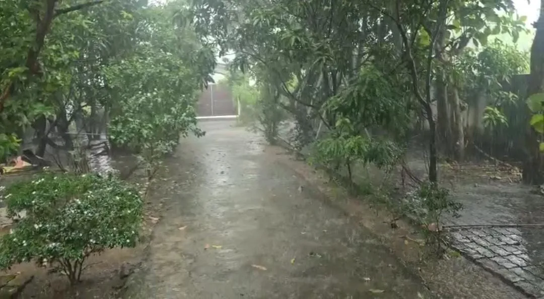 भागलपुर में मौसम का बदला मिजाज, किसानों के चेहरे खिले