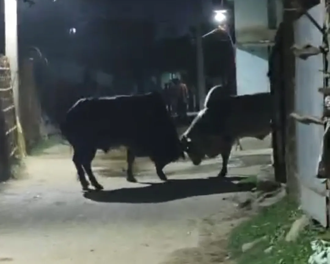 Screenshot 2025 09 10 16 53 15 141 com.whatsapp edit