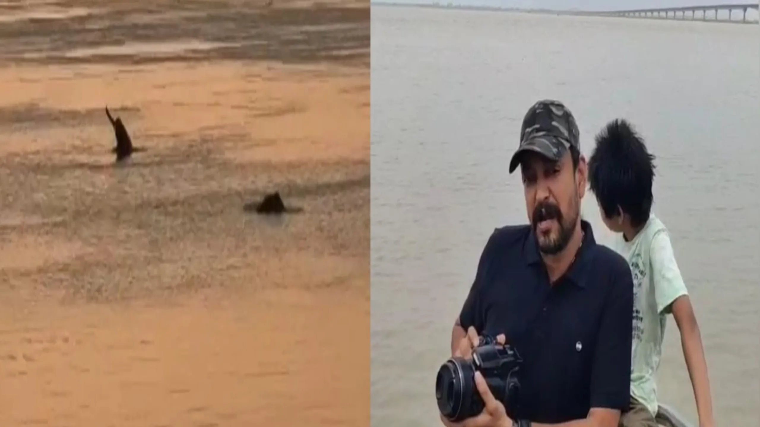 डॉल्फिन दिवस पर विशेष: एशिया के एकमात्र गांगेय डॉल्फिन अभ्यारण्य का घर है भागलपुर, लेकिन खतरे में ‘मुस्कान’ की दुनिया