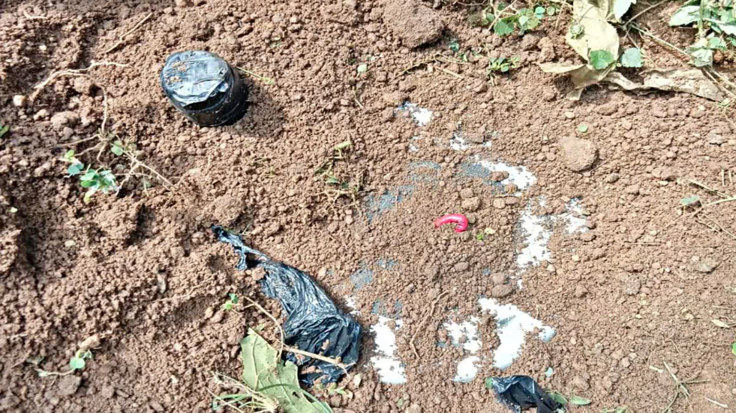 GridArt 20251012 104930550 scaled