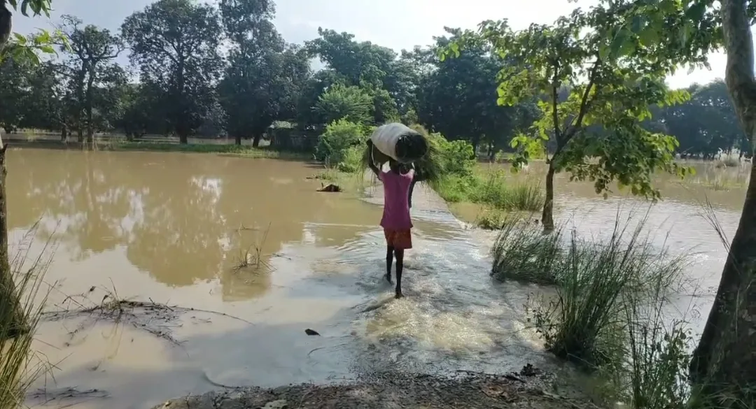 Screenshot 2025 10 09 17 35 48 316 com.whatsapp edit