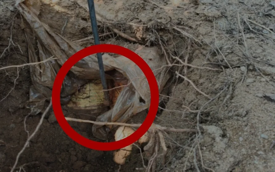 Screenshot 2025 10 16 17 13 56 073 cn.wps .xiaomi.abroad.lite edit