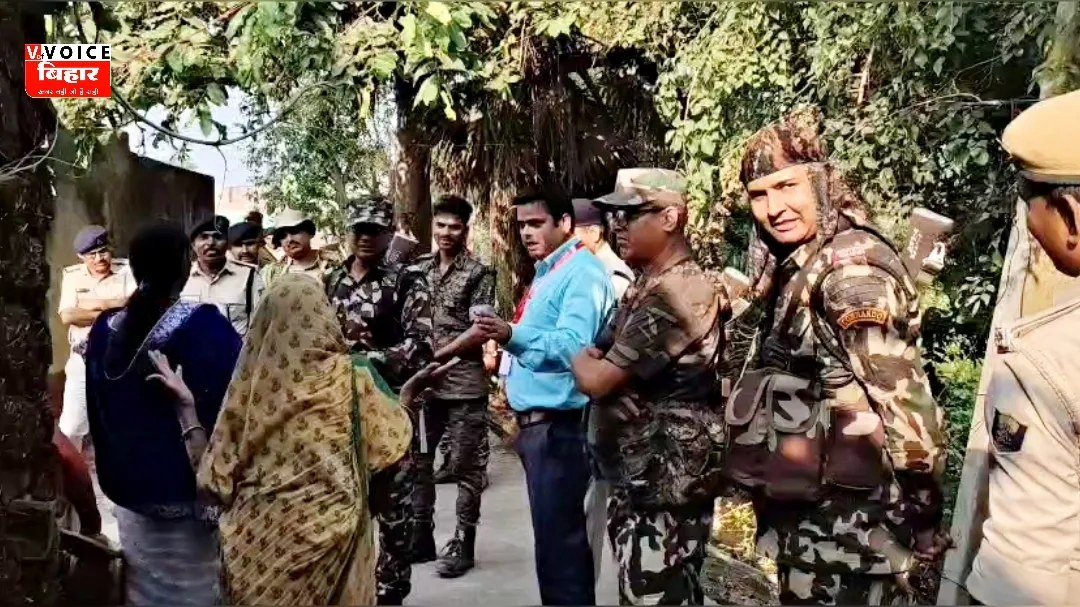 GridArt 20251106 172713371