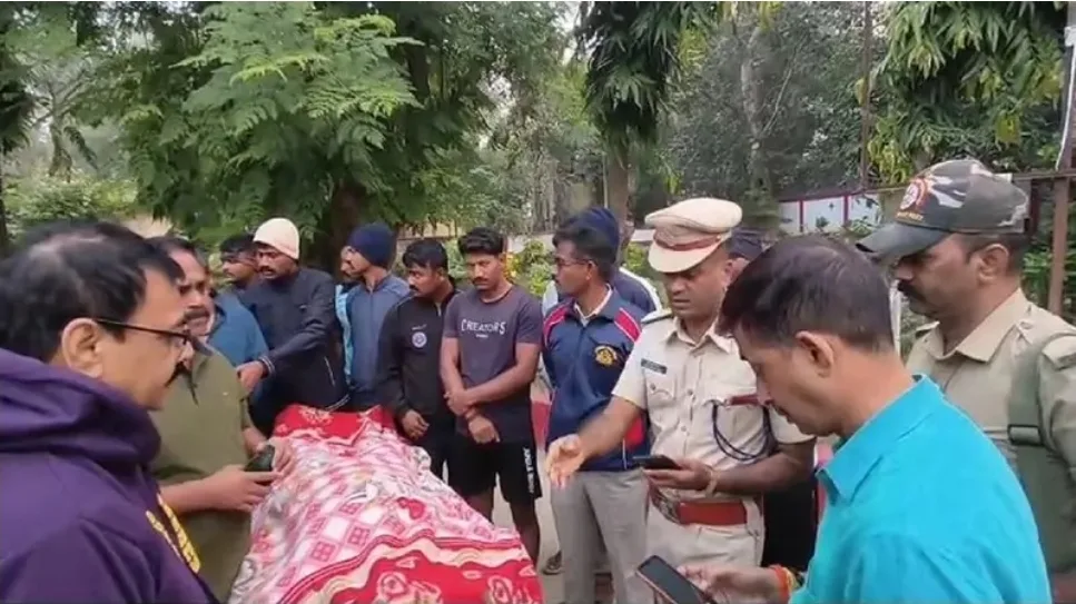 Screenshot 20251111 005043 Chrome