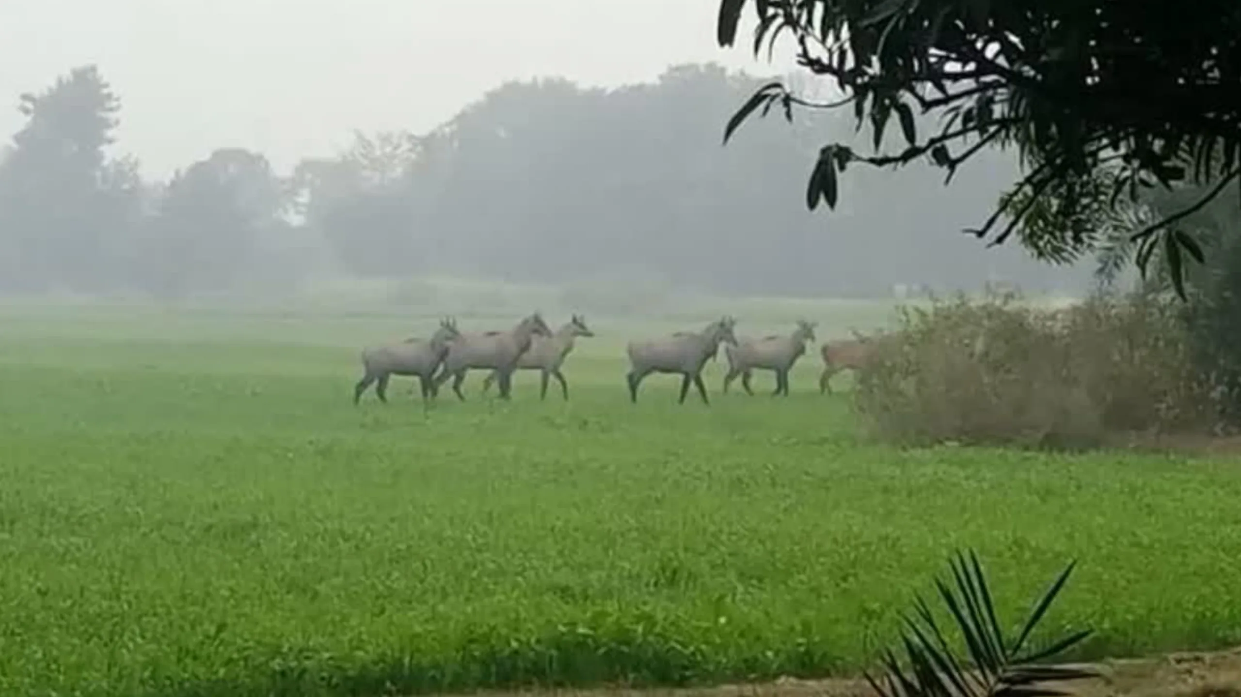 GridArt 20251231 091749155 scaled