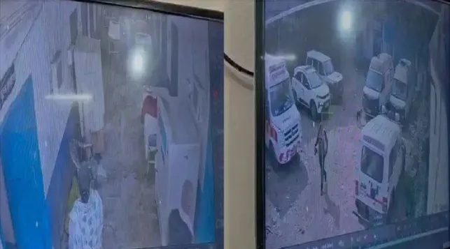 Screenshot 20251215 151331 Chrome