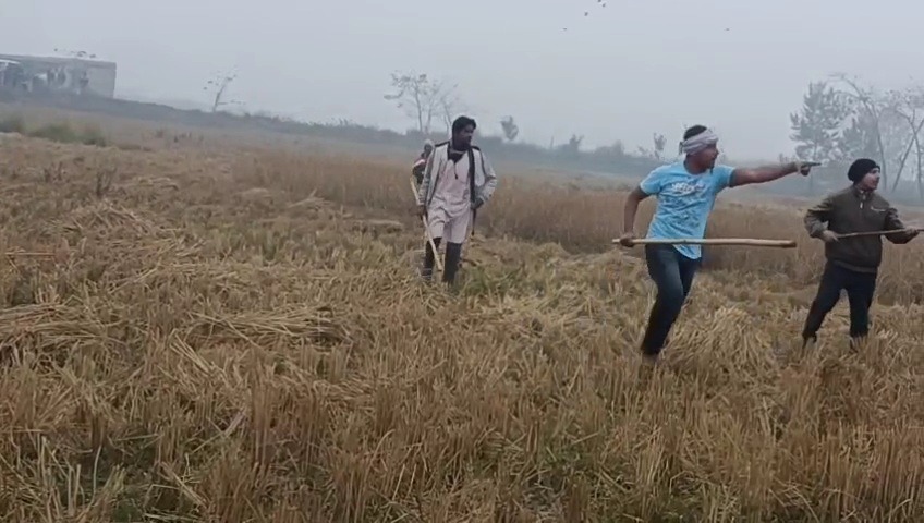बेतिया में जमीन विवाद ने लिया हिंसक रूप - दो पक्षों में लाठी-डंडों से भिड़ंत, दर्जन भर लोग गंभीर रूप से घायल 2 100126 bh bet land dispute video gaunaha photo bh10058 10012026152748 1001f 1768039068 552
