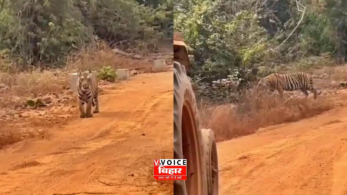 GridArt 20260104 161402342