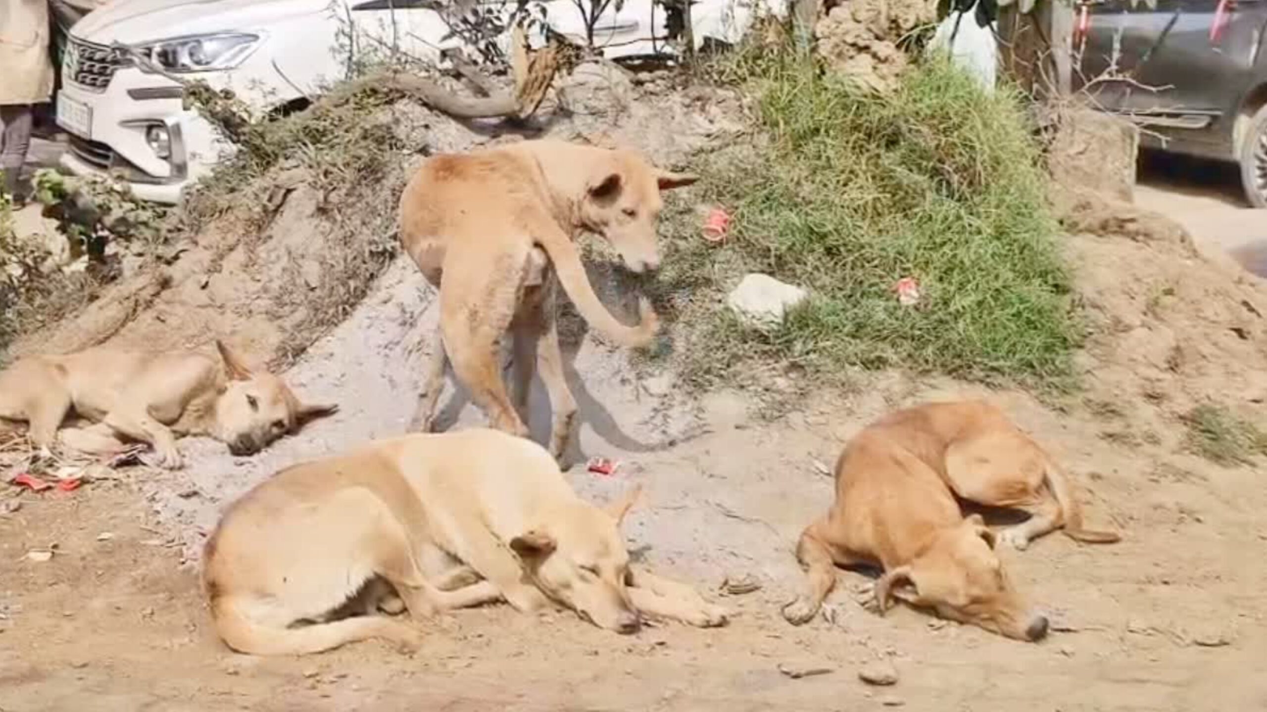 GridArt 20260107 181737919 scaled