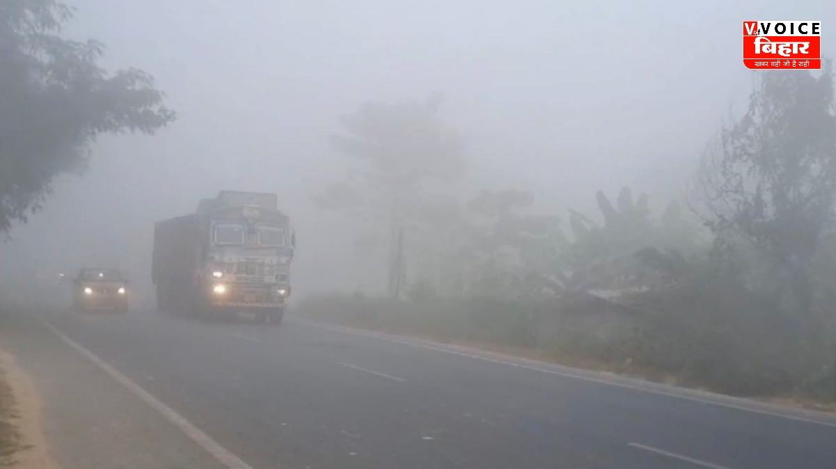 GridArt 20260112 150912330