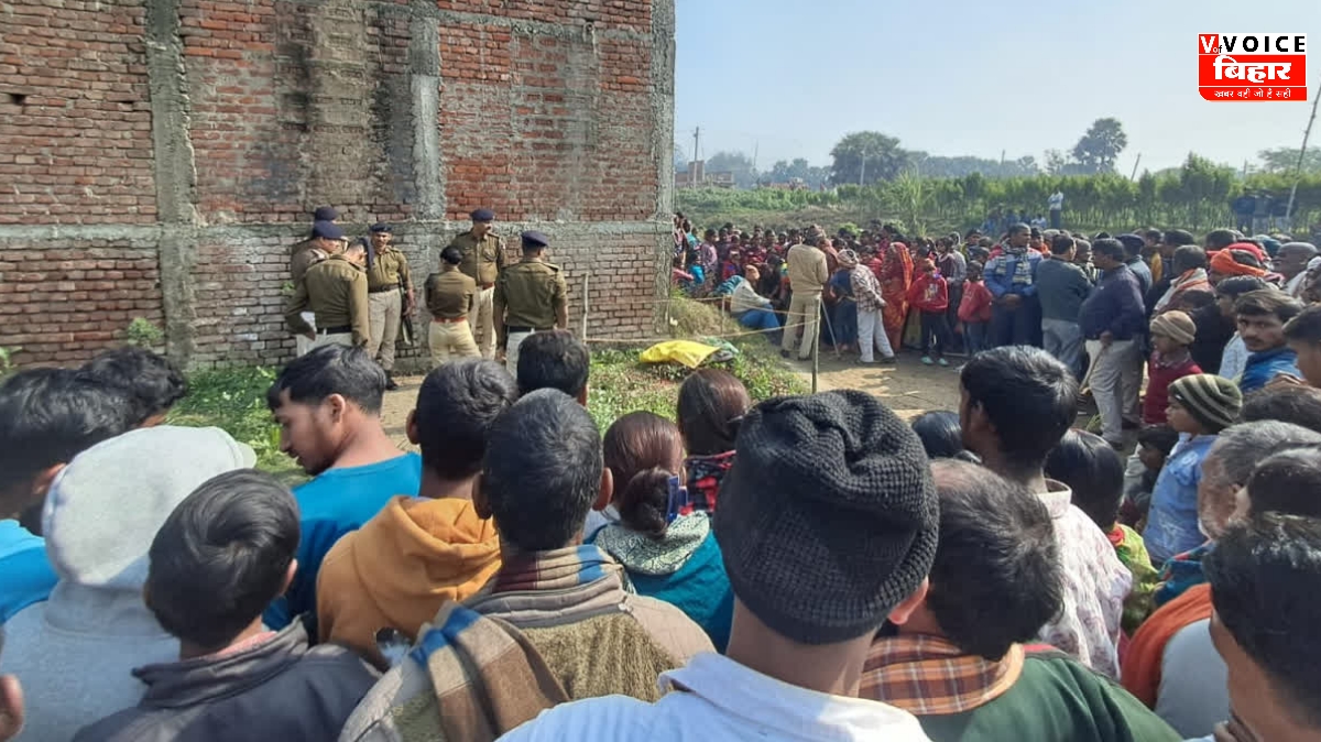 GridArt 20260113 100503244