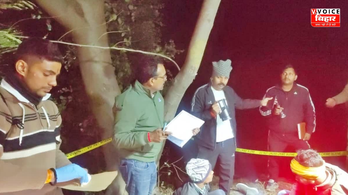 GridArt 20260113 101247055