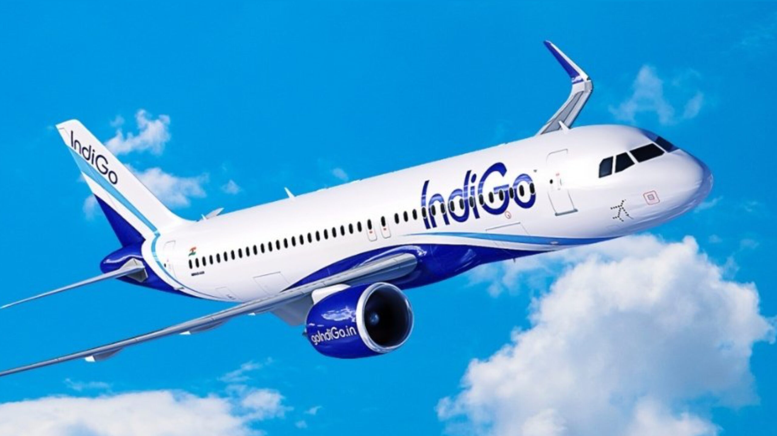 GridArt 20260115 101808612 scaled