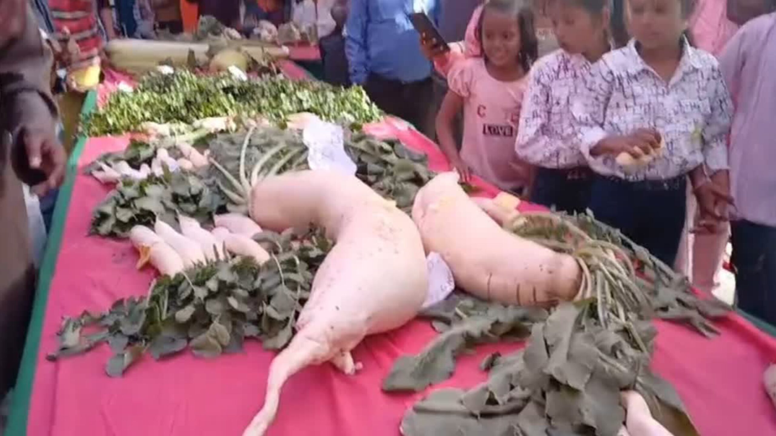 GridArt 20260115 191835444 scaled