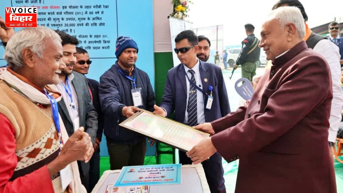 GridArt 20260128 175358686