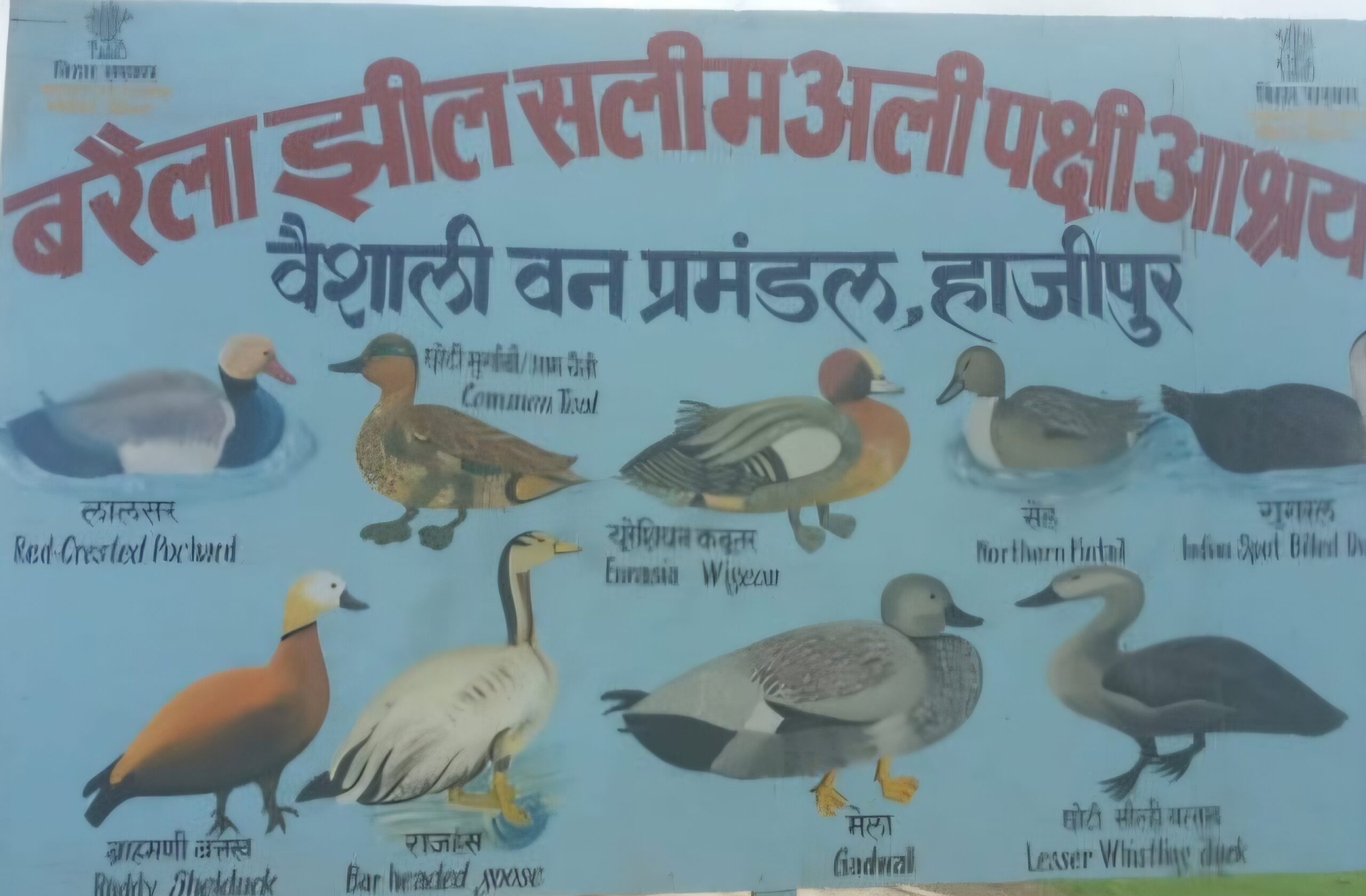 वैशाली की बरैला झील बनेगी पक्षी अभ्यारण्य, पानी लाने–निकासी कार्य में आई तेजी; 53.35 करोड़ की योजना पर काम तेज