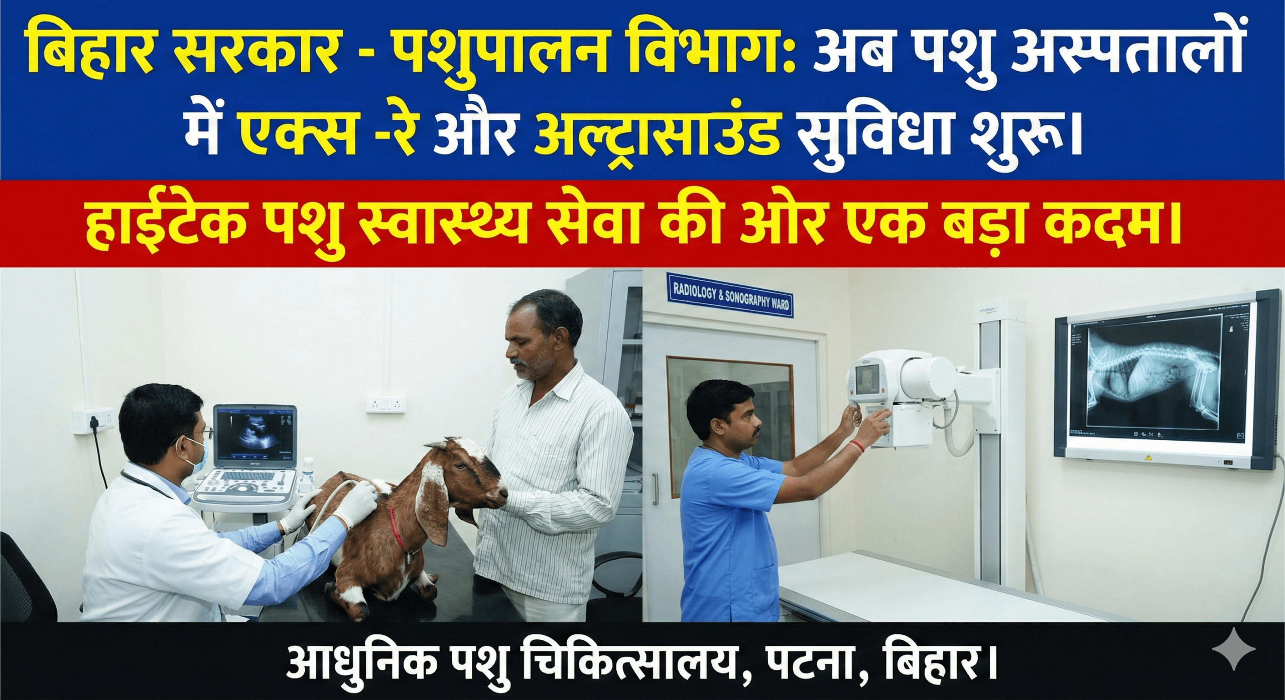 बिहार में पशु स्वास्थ्य सेवा होगी हाईटेक: अब अस्पतालों में मिलेंगी एक्स-रे और अल्ट्रासाउंड की सुविधाएं; बड़ा ऐलान