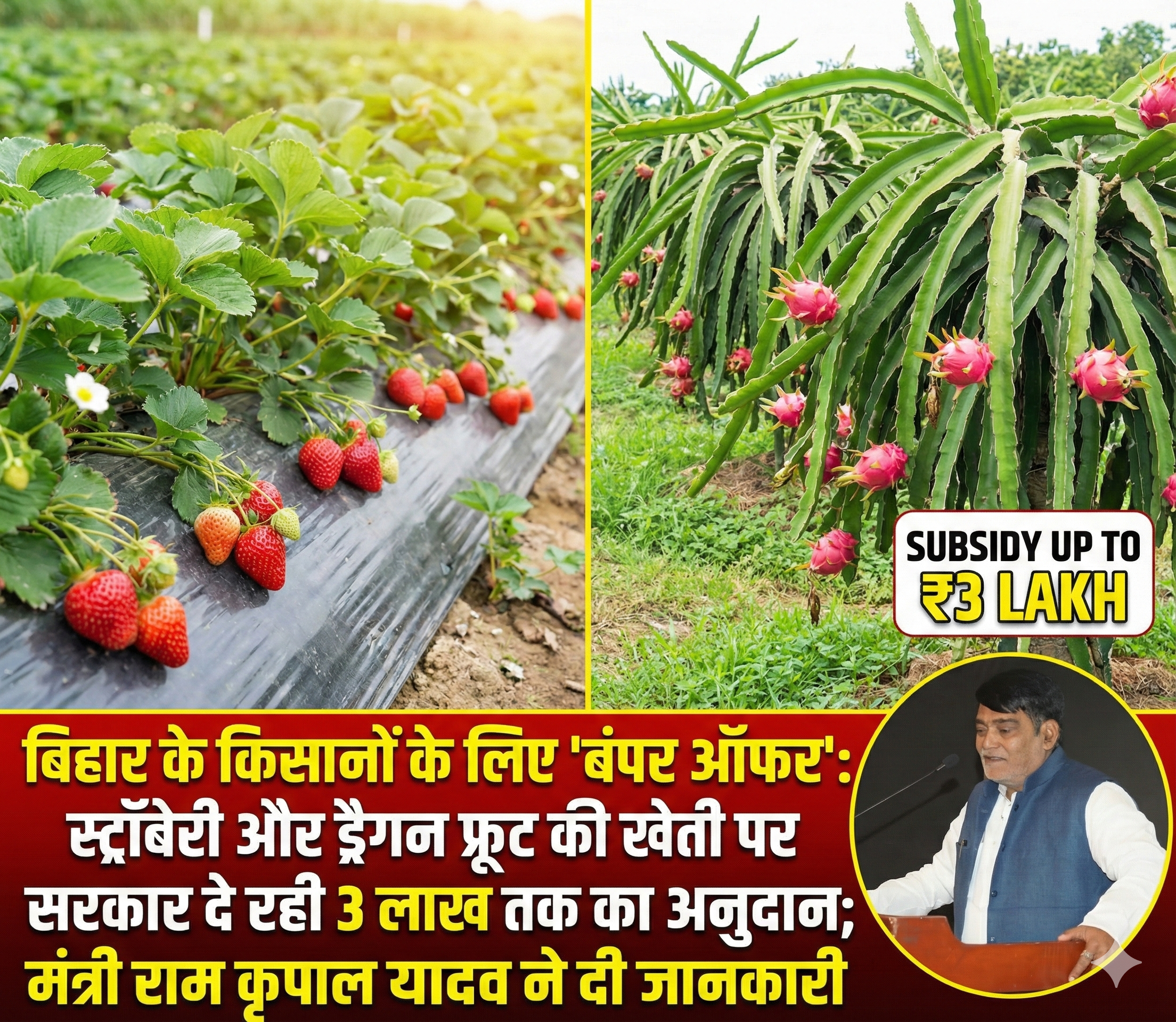 बिहार के किसानों के लिए ‘बंपर ऑफर’: स्ट्रॉबेरी और ड्रैगन फ्रूट की खेती पर सरकार दे रही 3 लाख तक का अनुदान; मंत्री राम कृपाल यादव ने दी जानकारी