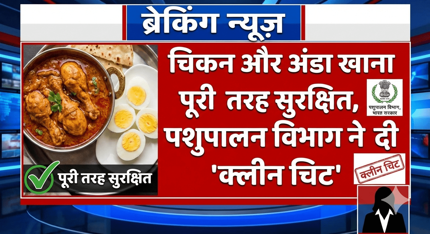 चिकन और अंडा खाना पूरी तरह सुरक्षित, पशुपालन विभाग ने दी ‘क्लीन चिट’