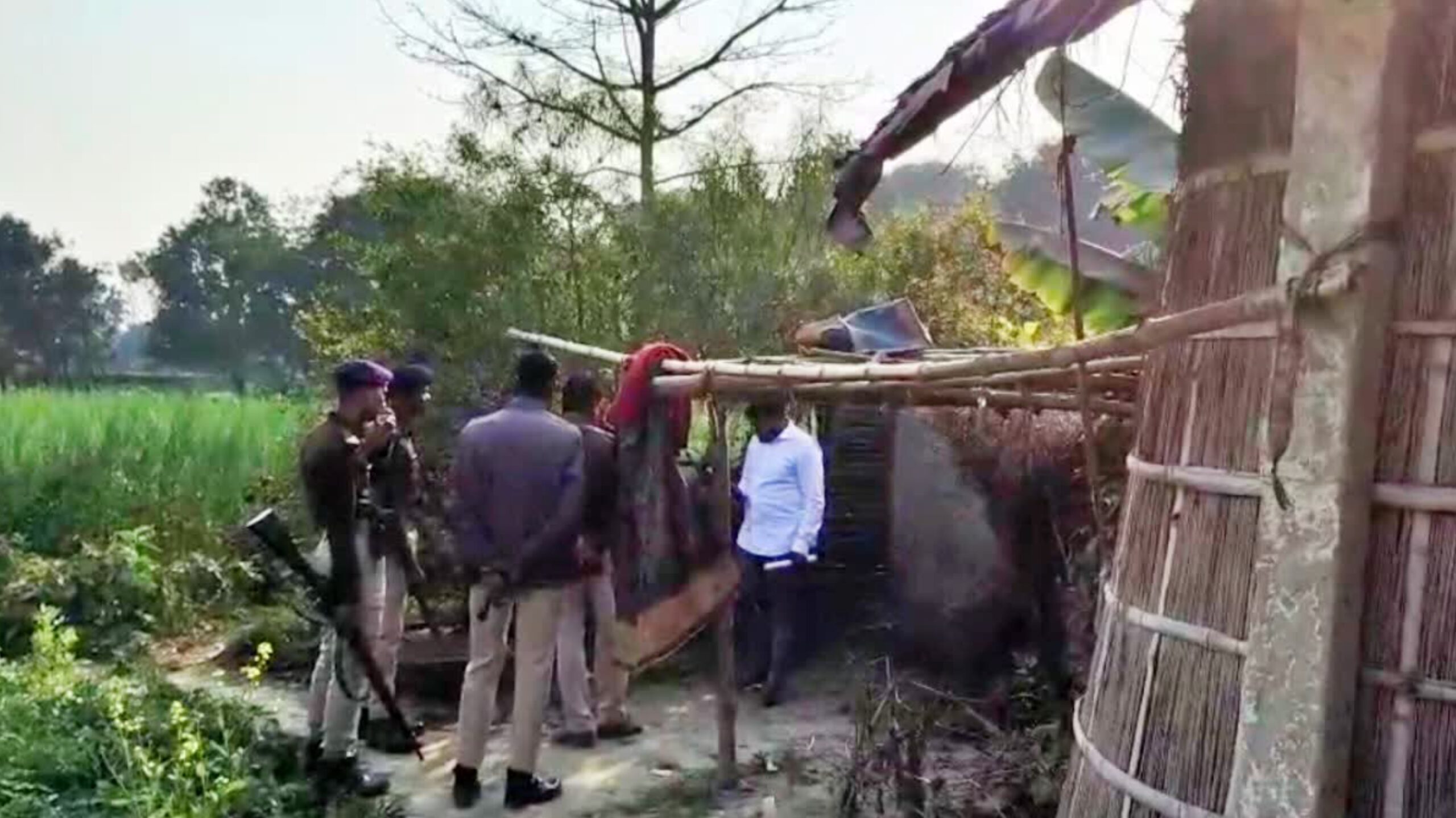 GridArt 20260212 114022047 scaled